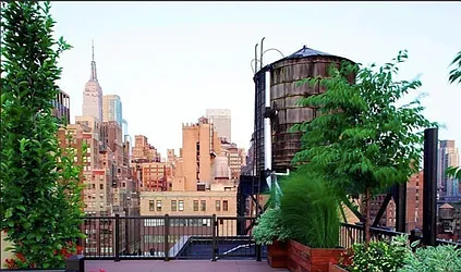 Rented by CiCi Realty Corporation