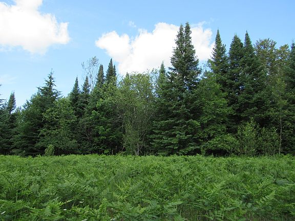 4th image of Cheboygan Plains Hwy