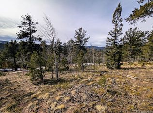 288 Hayes St, Bailey, CO 80421