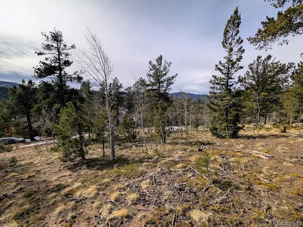 288 Hayes Street, Bailey, CO 80421