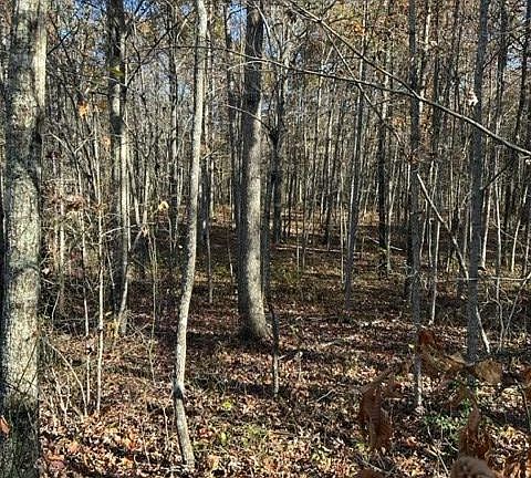 3rd image of LOT 69 Parkstown Ext