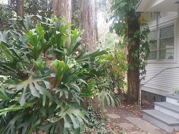 4th image of 14820 Geneva Dr