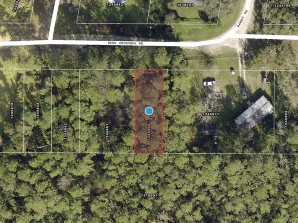 Deer Crossing Rd Lot 10, Altoona, FL 32702