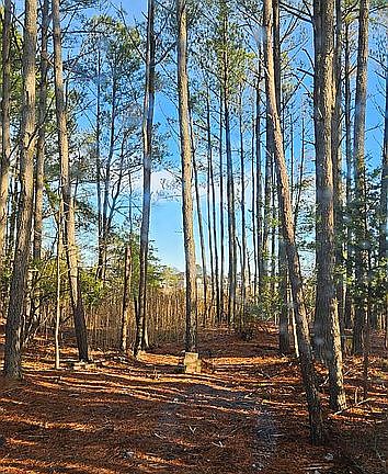 2nd image of 31001 Oakwood Rd