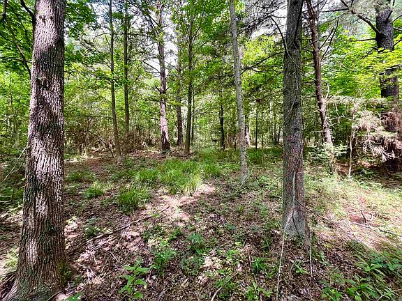 3rd image of 5 Tom Drehr Rd
