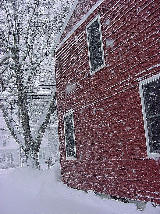 February 10, 2010 winter