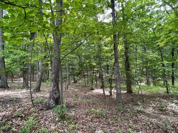 61 Bristol Spgs, Slanesville, WV 25444