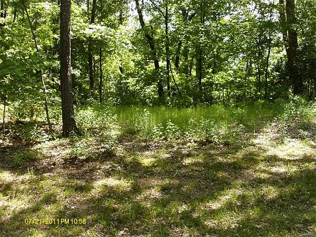 2nd image of 4608 Scenic Forest Dr