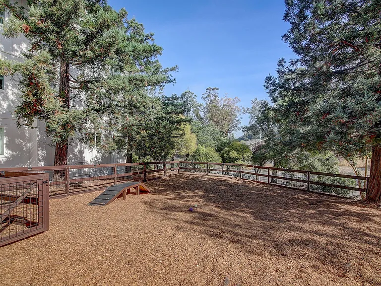 NEW Gated Dog Park