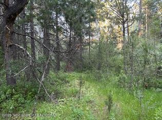 Aprx 680 W #7000, Victor, ID 83455