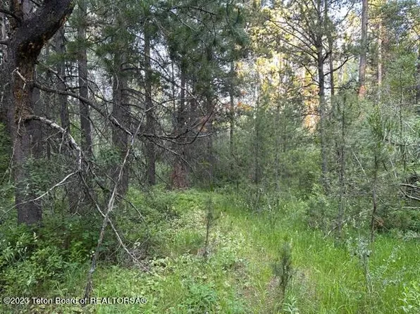 Aprx 680 W #7000, Victor, ID 83455