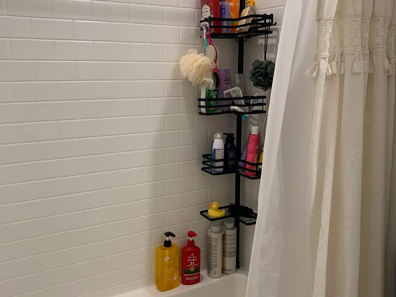1 bed, 400 sqft, $1,600 — Photo 3