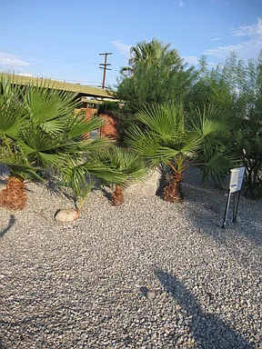 2626 N Junipero Ave — Photo 10