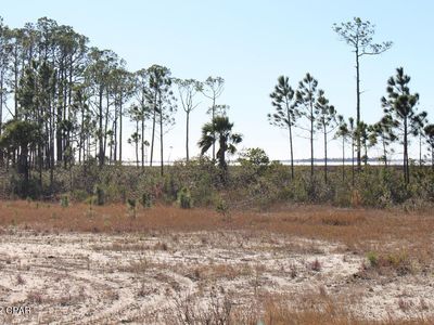 18 Shallow Reed Dr, Pt Saint Joe, FL, 32456