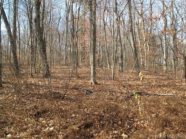 2nd image of 213 County Line Rd