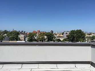 Rented by P Management