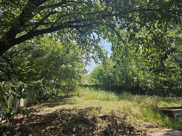 Backyard looking toward east