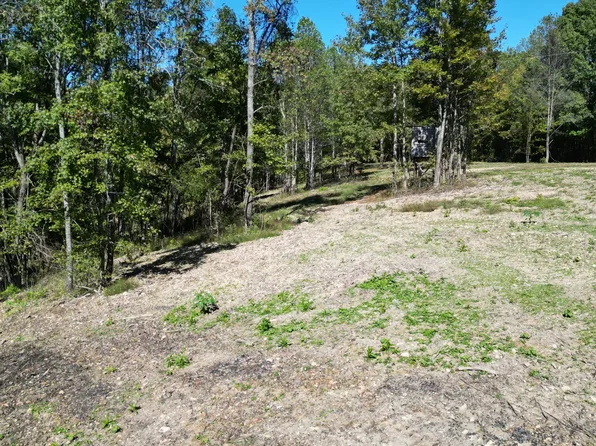 2T Gunter Hollow Rd, Pulaski, TN 38478