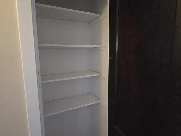 5131 N Damen Ave #3 — Photo 6
