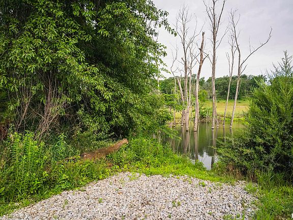 21st image of this home