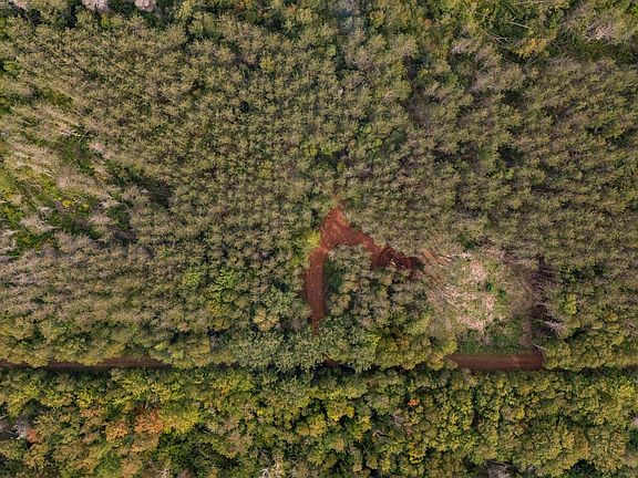 5th image of LOT 13 Swallow Point Rd