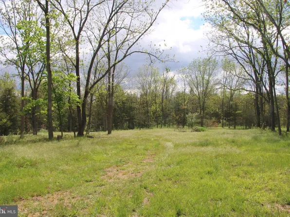 Ridge Hollow Rd, Edinburg, VA 22824