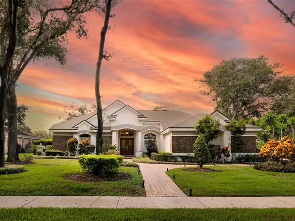 6023 Hammock Hill Ave, Lithia, FL 33547