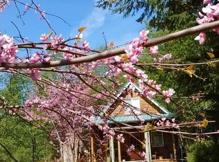 43911 NE Columbia Tie Rd, Amboy, WA 98601