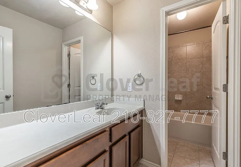 3734 Ox Eye Daisy — Photo 35