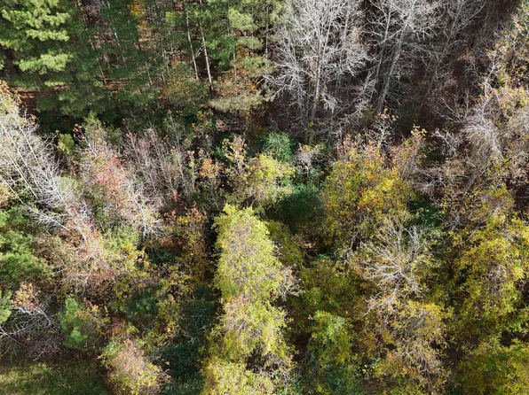 0000 Sr 1100, Blounts Creek, NC 27814