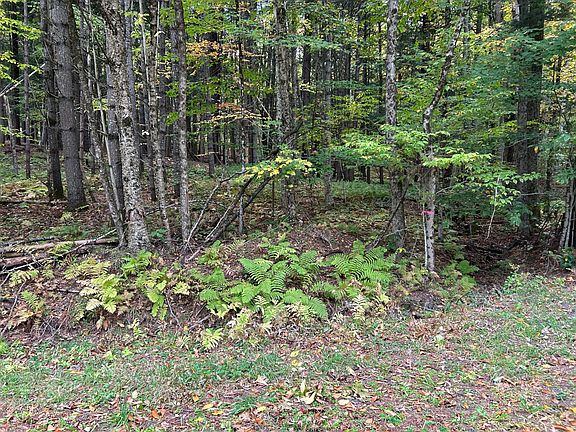 4th image of 189 River Rd