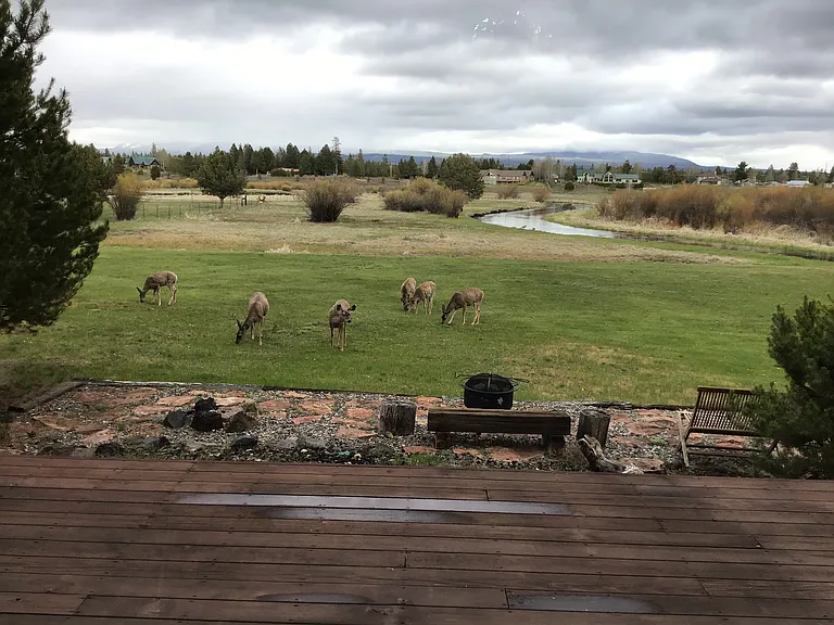 53020 Bridge Dr — Photo 12