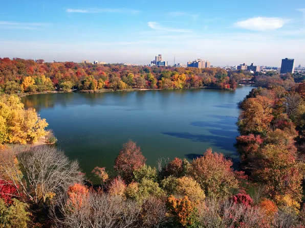 829 Greenwood Avenue image 12 of 17