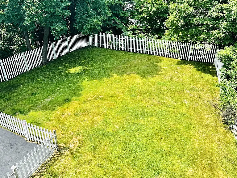 213 Pine St #3 — Photo 9