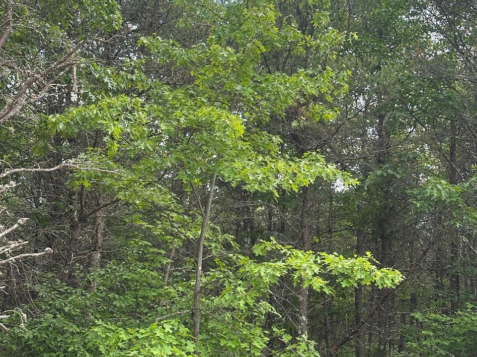 1st image of Near Eagle Creek Rd Tract 1075