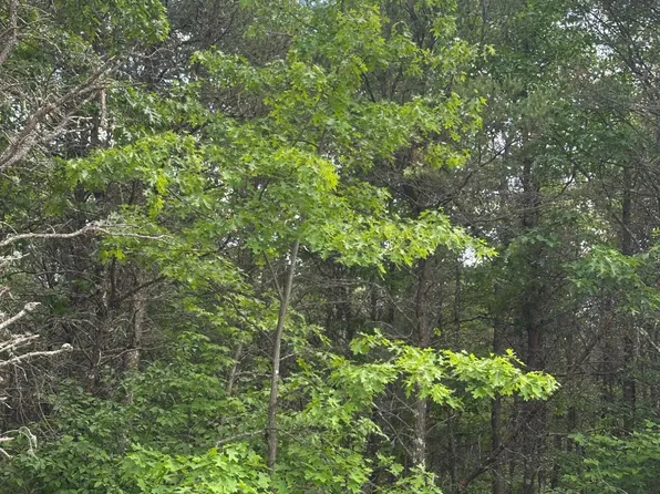 Near Eagle Creek Rd Tract 1075, Rhinelander, WI 54501
