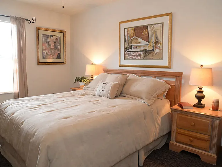 Cozy bedroom with natural light