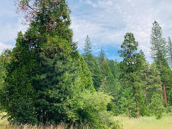 views on the property