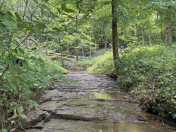 4th image of 1285 Phelps Dunham Rd
