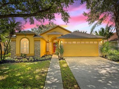 3022 Beaver Pond Trl, Valrico, FL, 33596
