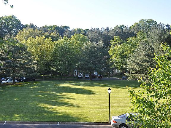 Front View of common grassy cul de sac