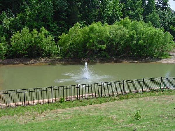 Gorgeous pond view right outside the back patio.