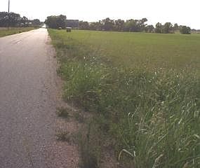 5th image of Intersect E #190 & S-550
