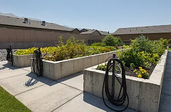 Community Garden