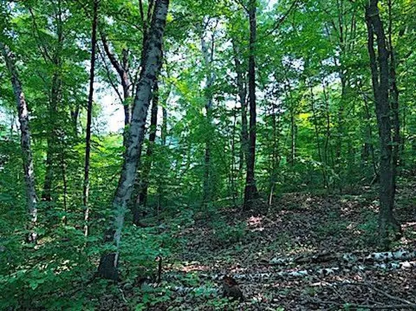 W Olaf Rd, Pelican Rapids, MN 56572