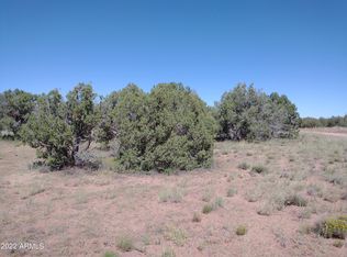 4312 Pinto Rd #49, Snowflake, AZ 85937