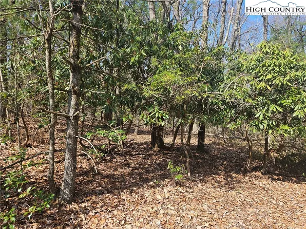 TBD Mount Retreat Road, Roaring Gap, NC 28668
