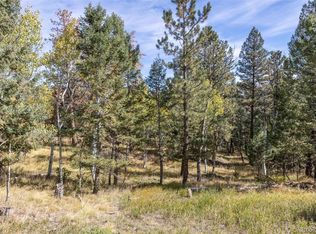 1845 Burland Drive, Bailey, CO 80421