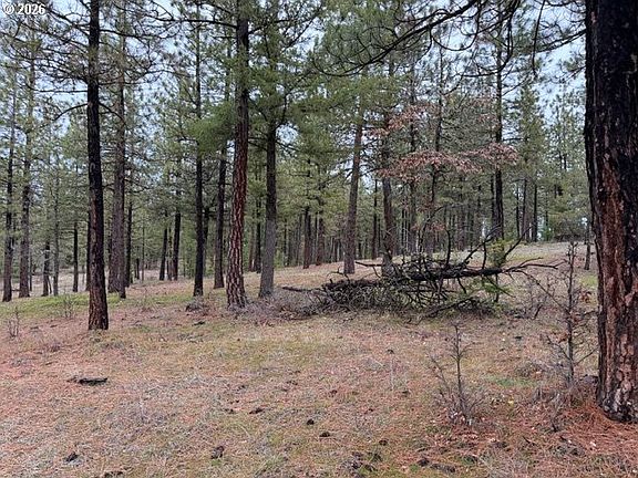 4th image of Garrison Rd #1-2-3