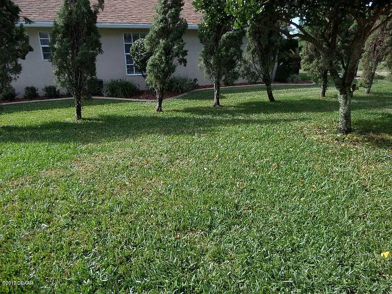 31 Meadow Ridge Vw — Photo 18
